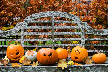 halloween pumpkins on the bench