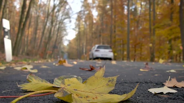 Auto f&auml;hrt auf Landstrasse im Herbst 