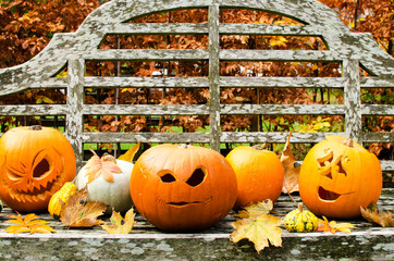 Halloween Pumpkin Display on a Park Bench