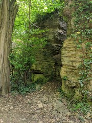 Felsen