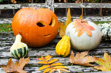 Halloween Pumpkin Display