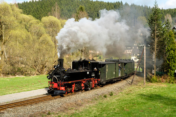 Fototapeta na wymiar Preßnitztalbahn pressnitztalbahn