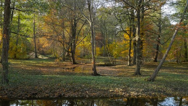 Dutch park panorama, beautiful autumn landscape 