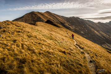 Obraz premium Tatry Zachodnie - Jesień 2018