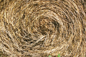 close up of a round hay and straw bale