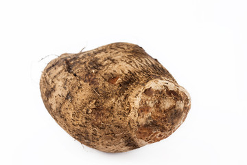 Yam (Dioscorea spp.) isolated in white background