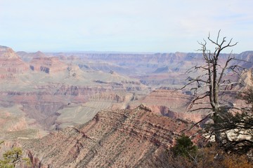 Grand Canyon
