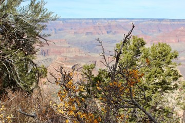 Grand Canyon