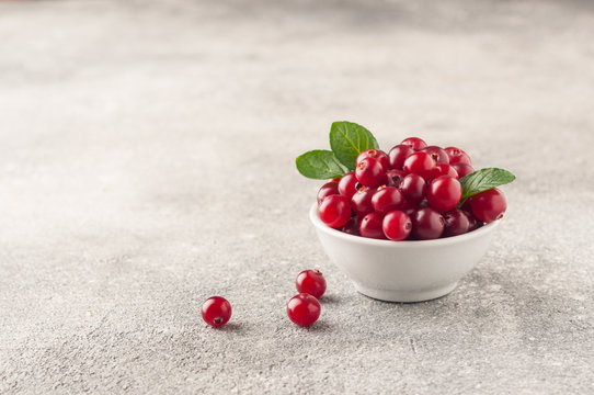 Cranberry. Cranberries with green leaves in small white bowl on the grey table. Fresh cranberries. Copy space. Selective focus. Macro. Closeup.