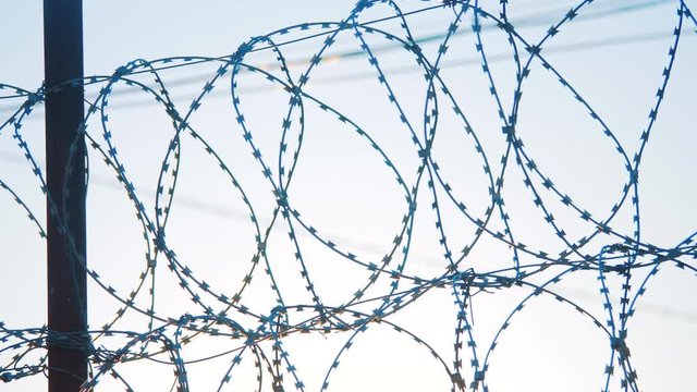 fence prison strict regime silhouette barbed wire. illegal immigration fence from refugees. illegal immigration concept the prison prison lifestyle fence