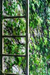 Old metal staircase.