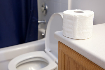 Toilet paper next to toilet