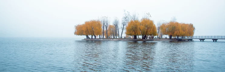 Photo sur Plexiglas Automne exciting charming autumnal minimalistic landscape with an island of yellow trees in the middle of a lake in a misty morning. panorama