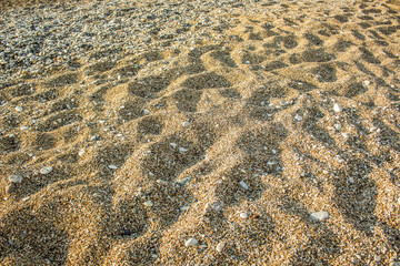 Fototapeta na wymiar sea shore sand and small stones background texture surface, copy space