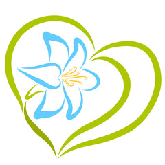 blue lily with leaves creating a heart shape