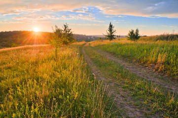 Fototapeta na wymiar Road in meadows and beautiful sunset