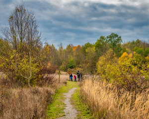 Familienwanderung im Hainich Nationalpark