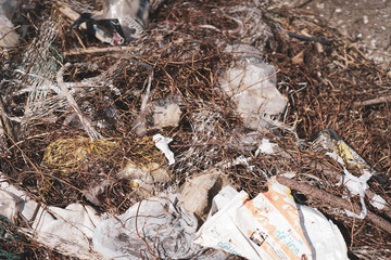 Angeschwemmter Plastikmüll am Strand