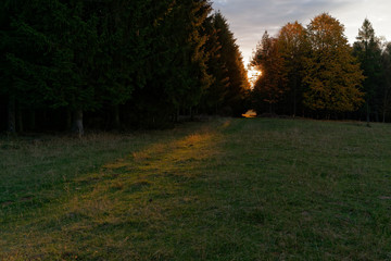 Obraz premium autumn 3058