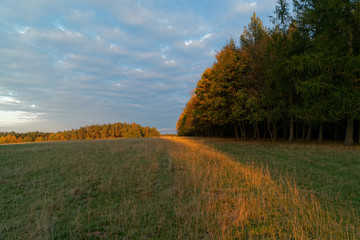 Fototapeta premium autumn 3057