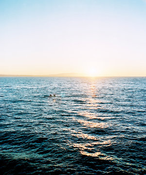 Ocean sculling in Santa Cruz, California