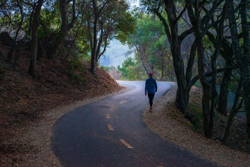 Obraz premium Jogger walking on a winding road