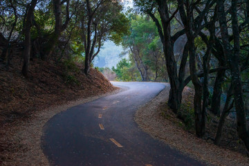 Jogger walking on a winding road