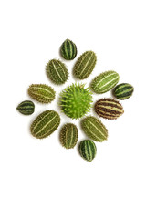 Cucumis africanus African Wild Cucumber. Wild cucumber native to Africa produces small 1&frac12; by 3&frac12; inch fruits that look like prickly greenish cucumbers striped in light green or yellow, Isolated.