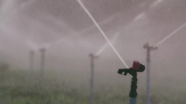 Slow motion of many impact sprinklers irrigating a field during sunset