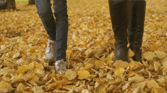 Woman and little girl walking on the fallen autumn leaves.
