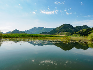 Fototapeta na wymiar Lake Skadar in Montenegro 