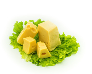 classic cheese on lettuce; isolated