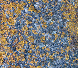 natural grunge texture