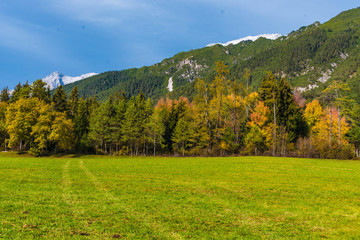 Wiese Herbstwald Berg