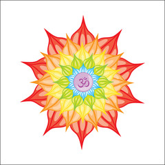 Vector illustrated mandala