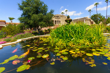 Garden in San Juan Capistrano