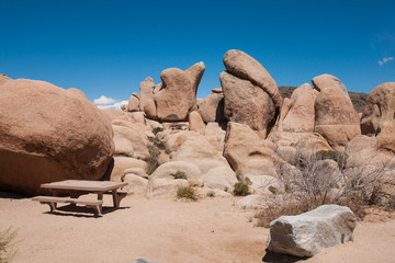 Joshua Tree NP Landscape