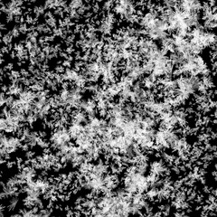 Fototapeta na wymiar Abstract ice and freeze effect on black background. Frozen window glass. 