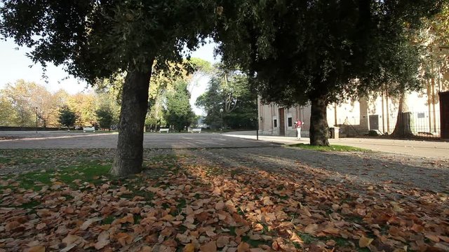 Autunno al parco