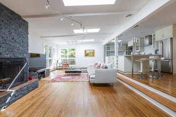 Luxury residential interior living