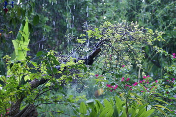 Impressionen Bali