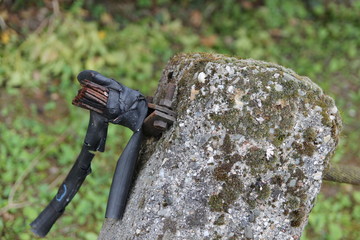 Spring landscape (photo Czech Republic, Europe)