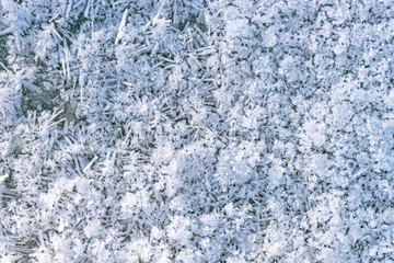 Flowers from the hoarfrost  on the ice of the lake. - Ice flowers as background.