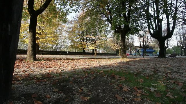 Al parco in autunno