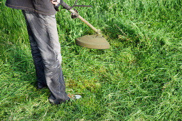 Mowing green grass using a fishing line trimmer. Application trimmers.