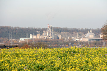 Une cimenterie dans les fleurs
