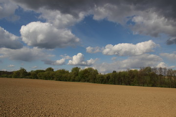 Spring landscape (photo Czech Republic, Europe)