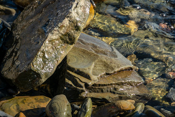 Sea stones and rocks of different sizes and texsture of black, gray and brown under the water on the Black Sea coast as nature bacground. Excellent concept for any design