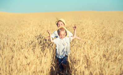 Naklejka na ściany i meble Two brothers run around the wheat field. 