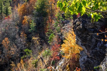 Fall in Linville Gorge